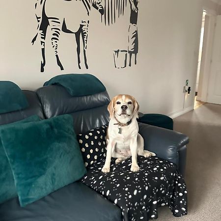 Hereford - Finch House - Modern 4 Bedroom House Located In South Hereford, Dog Friendly With Nearby Countryside, Pool Table, Sleeps Up To 10 Guests - Hosted By Rentmyhouse Dış mekan fotoğraf