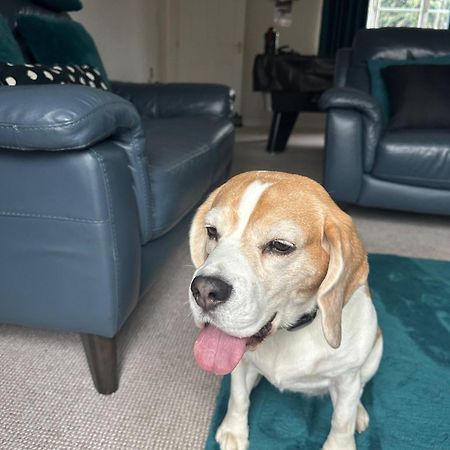 Hereford - Finch House - Modern 4 Bedroom House Located In South Hereford, Dog Friendly With Nearby Countryside, Pool Table, Sleeps Up To 10 Guests - Hosted By Rentmyhouse Dış mekan fotoğraf