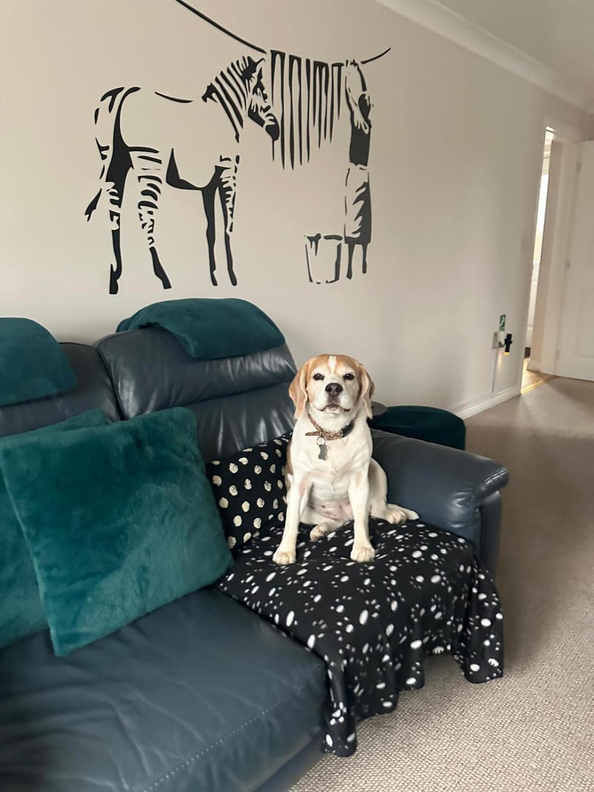 Hereford - Finch House - Modern 4 Bedroom House Located In South Hereford, Dog Friendly With Nearby Countryside, Pool Table, Sleeps Up To 10 Guests - Hosted By Rentmyhouse Dış mekan fotoğraf