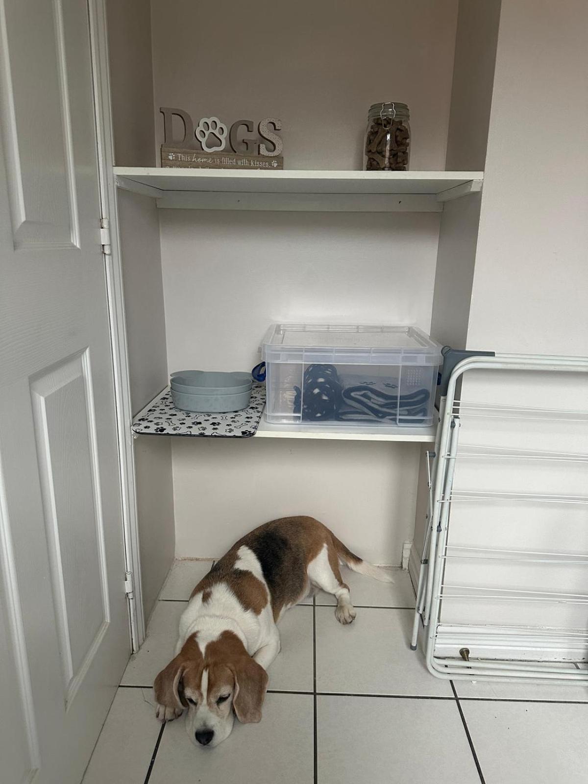 Hereford - Finch House - Modern 4 Bedroom House Located In South Hereford, Dog Friendly With Nearby Countryside, Pool Table, Sleeps Up To 10 Guests - Hosted By Rentmyhouse Dış mekan fotoğraf