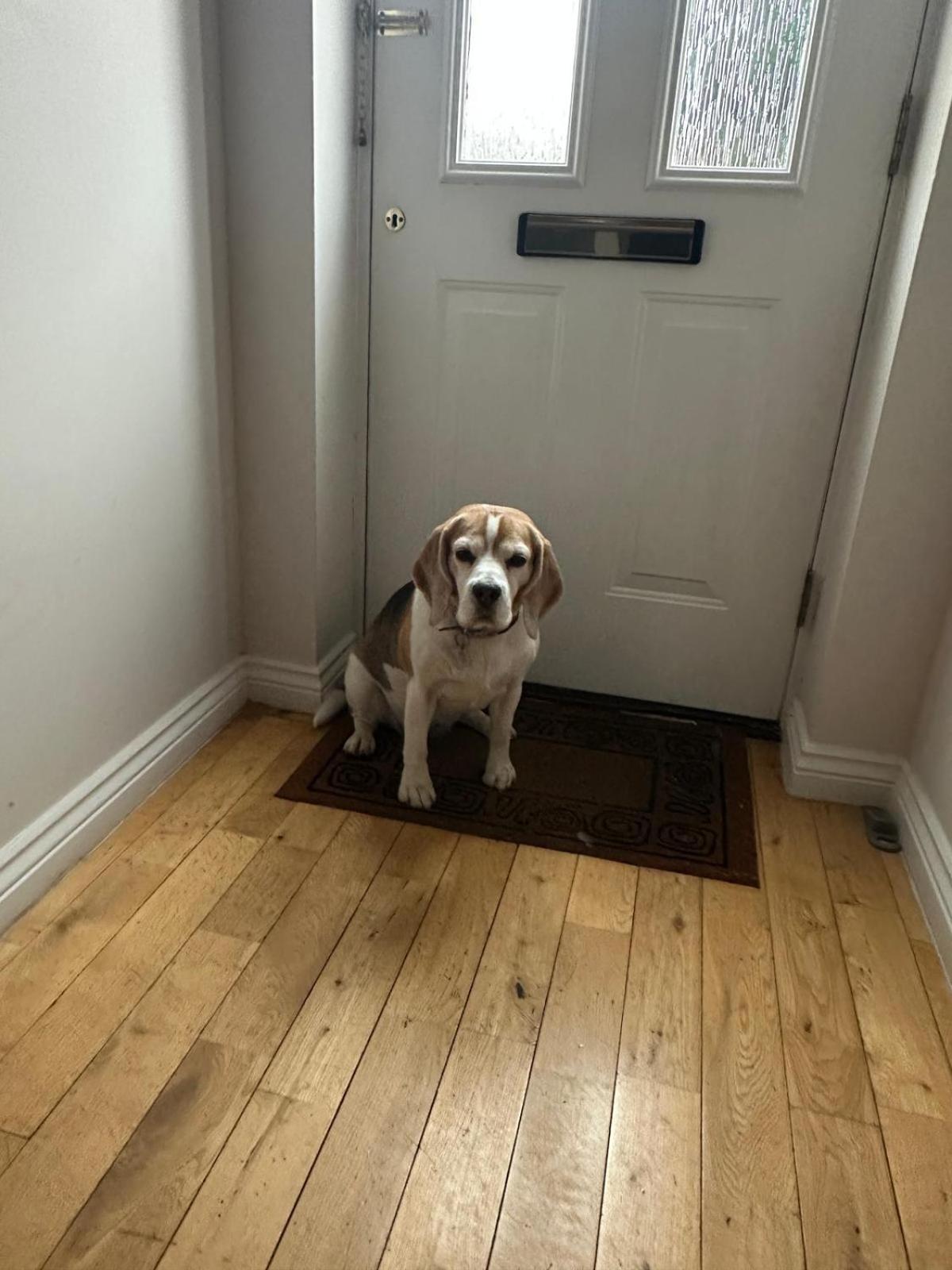 Hereford - Finch House - Modern 4 Bedroom House Located In South Hereford, Dog Friendly With Nearby Countryside, Pool Table, Sleeps Up To 10 Guests - Hosted By Rentmyhouse Dış mekan fotoğraf