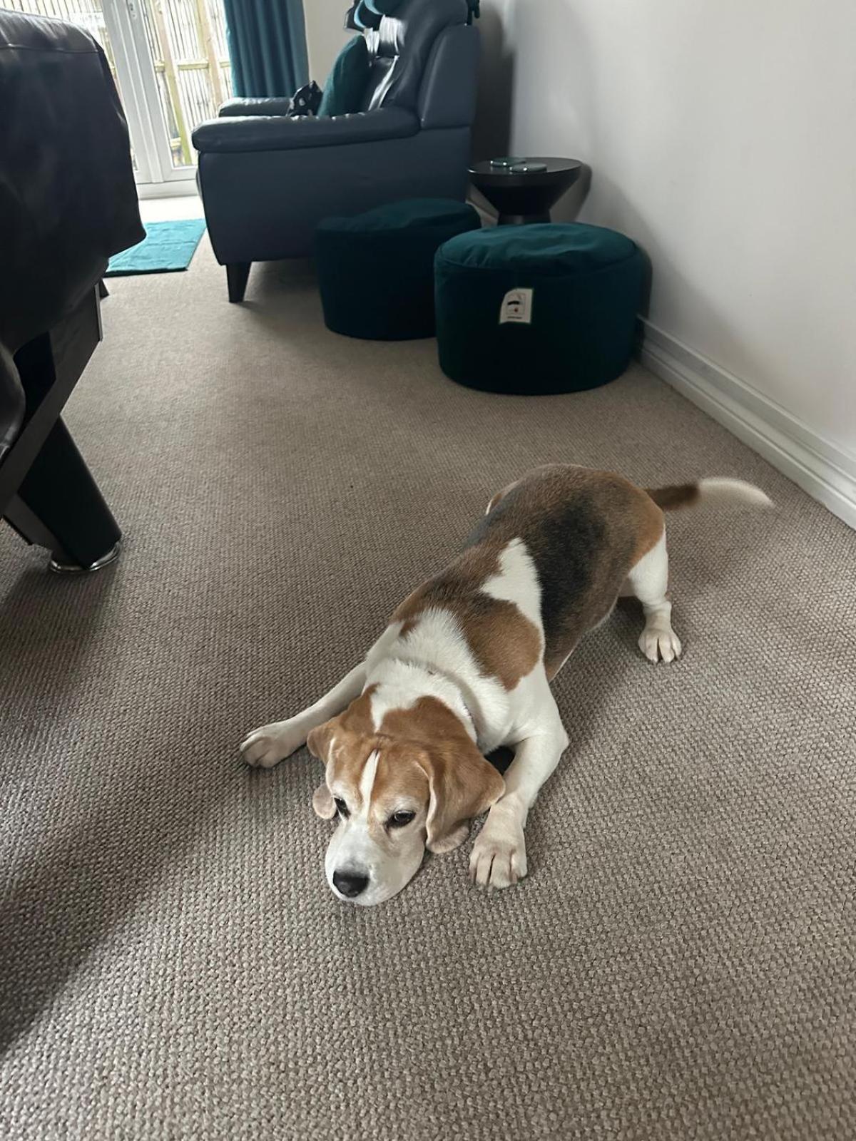 Hereford - Finch House - Modern 4 Bedroom House Located In South Hereford, Dog Friendly With Nearby Countryside, Pool Table, Sleeps Up To 10 Guests - Hosted By Rentmyhouse Dış mekan fotoğraf